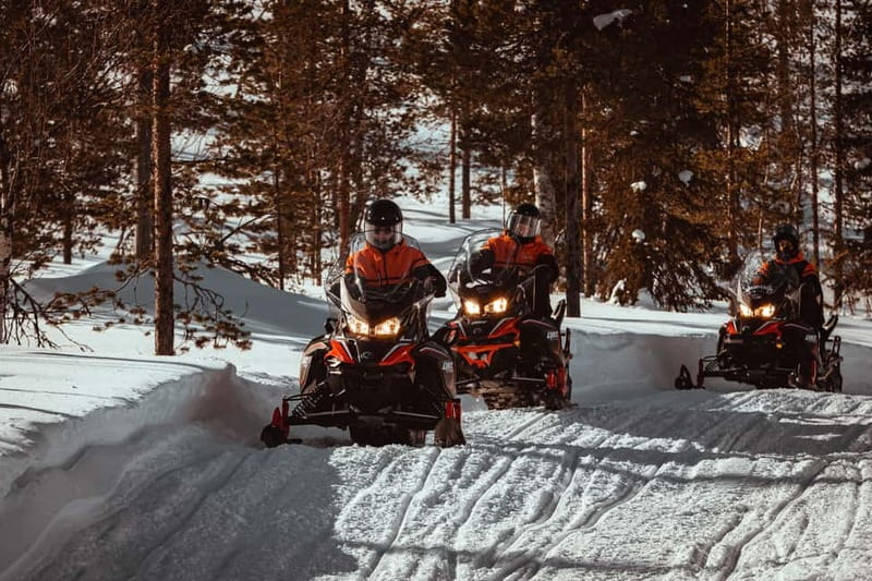 Saariselkä: One Hour Snowmobile Safari - Key Points