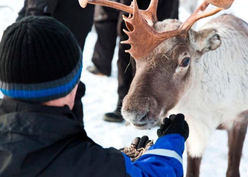 Saariselkä: Reindeer Farm Experience with Snack and Drinks - Practicalities: Duration, Clothing, and Booking