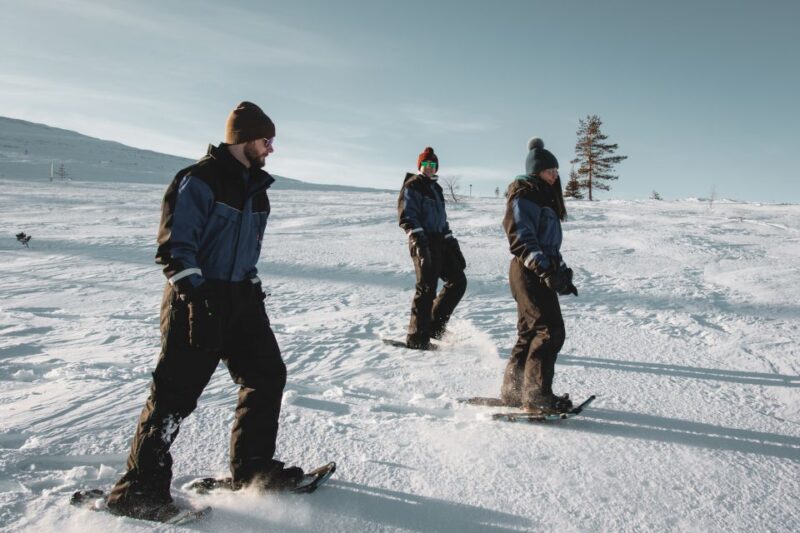 Saariselkä: Scenic Snowshoe Safari - Using Snowshoes in Deep Snow