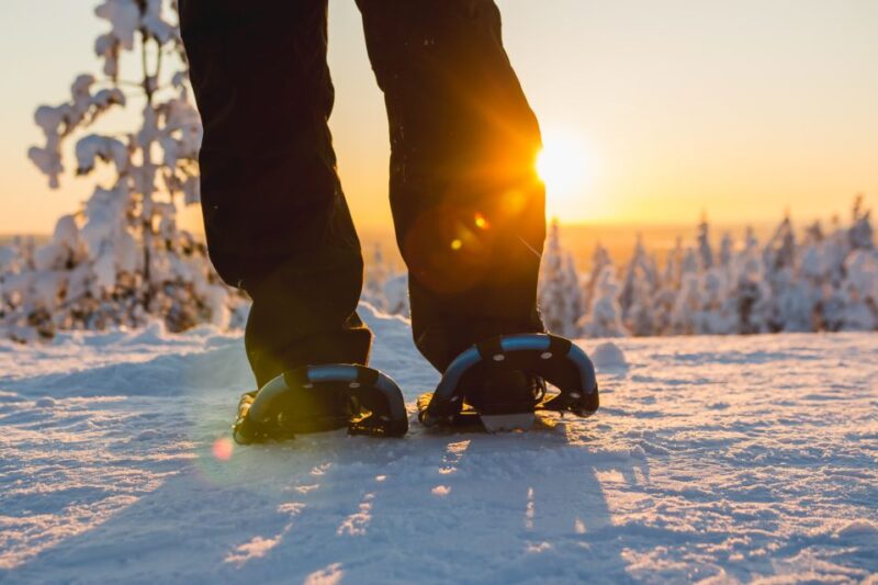 Saariselkä: Scenic Snowshoe Safari - Reviews That Confirm This Tour’s Appeal