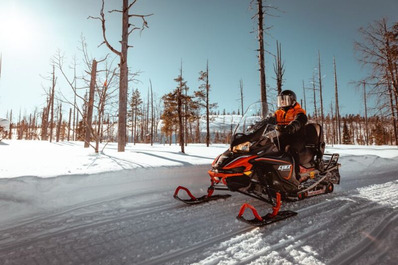 Saariselkä: Snowmobile Adventure for Adults - The Experience of Snowmobiling in Arctic Wilderness