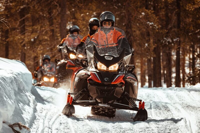 Saariselkä: Snowmobile Ride with Hot Drinks - Discover the Snowmobile Adventure in Saariselkä with Warm Drinks