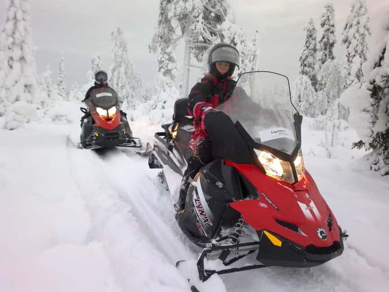 Saariselka: Snowmobile Safari on Tundra with BBQ - The Sum Up: Authentic, Accessible Snowmobiling in Lapland
