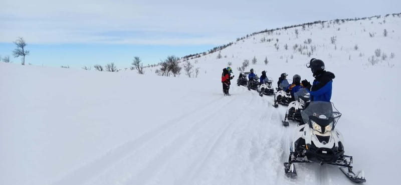 Saariselka: Snowmobile Safari on Tundra with BBQ - Frequently Asked Questions