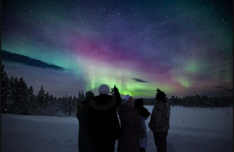 Saariselkä,Kakslauttanen: Aurora Hunting & Photography Tour. - The Chance of Seeing the Aurora and Realistic Expectations
