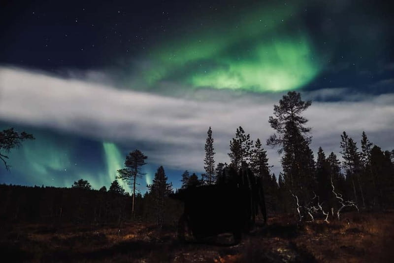 Saariselkä,Kakslauttanen: Aurora Hunting & Photography Tour. - Frequently Asked Questions