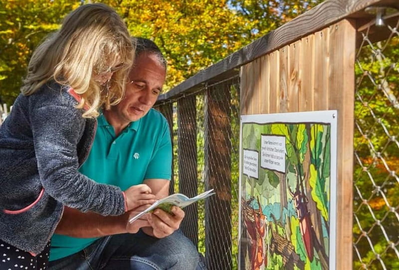Saarland: Treetop Walk Saarschleife & Lookout Tower - Key Points