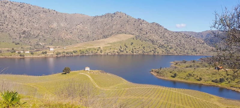 Sabor Lakes' Tour - Wine Tasting and the Regional Lunch Experience