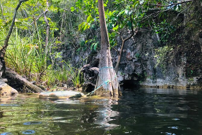 Sacred Adventure at Xenotes! 4 Different Cenotes + Round Transportation - Navigating the Tour with Practical Tips