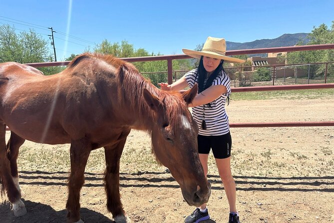 Sacred Horse Medicine Journey near Sedona - The Value of a 90-Minute Transformative Experience