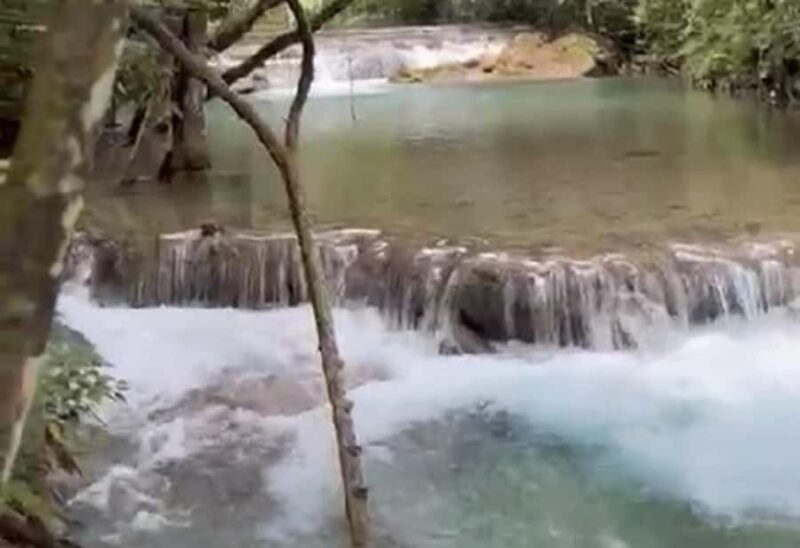 Sacred Spring and Traditional Cuisine in Llano Grande - Local Community and Heirloom Recipes