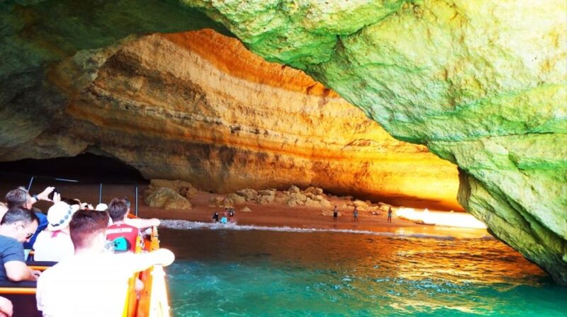 Safari & Boat Tour - Mountains & Dolphins - Final Impressions of the Mountains & Dolphins Adventure