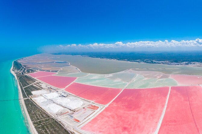 Safari in Rio Lagartos, Coloradas and Mayan Bath - Experience the Unique Beauty of Río Lagartos and Las Coloradas