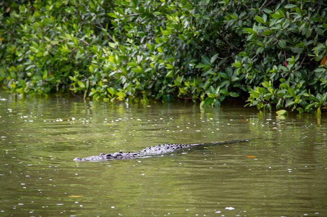 Safari in Rio Lagartos, Coloradas and Mayan Bath - Las Coloradas: The Pink Waters and Photo Opportunity