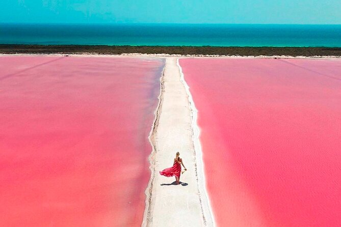 Safari in Rio Lagartos, Coloradas and Mayan Bath - The Cost, Booking, and Cancellation Policy