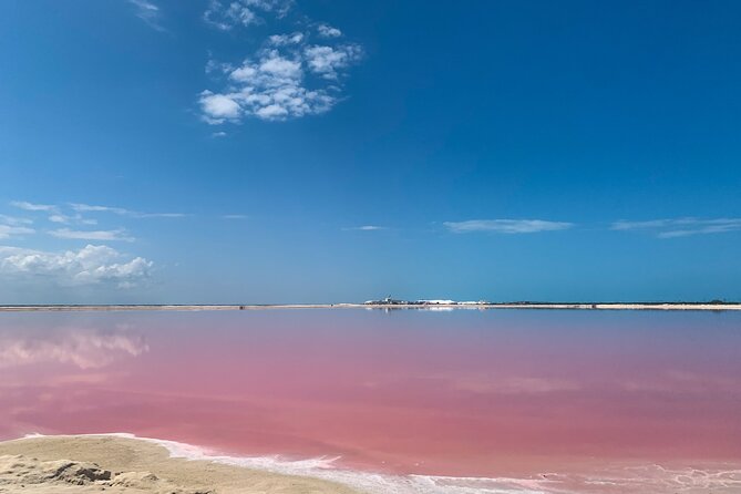 Safari in Rio Lagartos, Coloradas and Mayan Bath - Rio Lagartos, Coloradas, and Mayan Bath: A Unique Exploration of Yucatán’s Natural Wonders