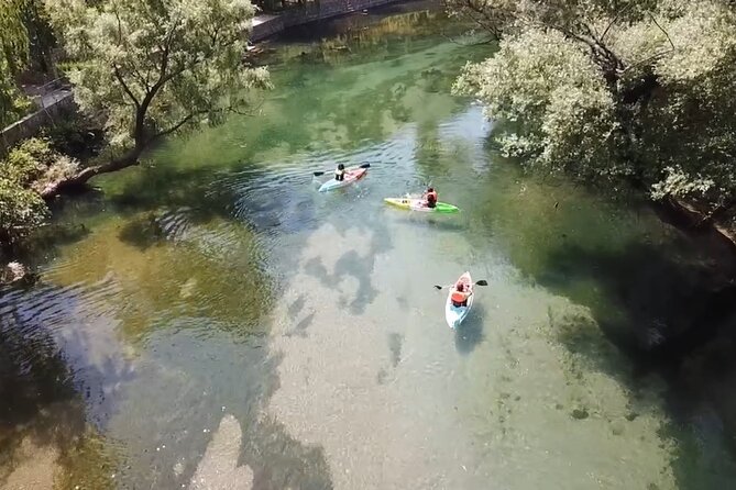 Safari kayak adventure w BBQ & Beer - Paddling Down the River and Scenic Views