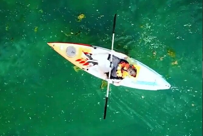 Safari kayak adventure w BBQ & Beer - Meeting Point and Ease of Access