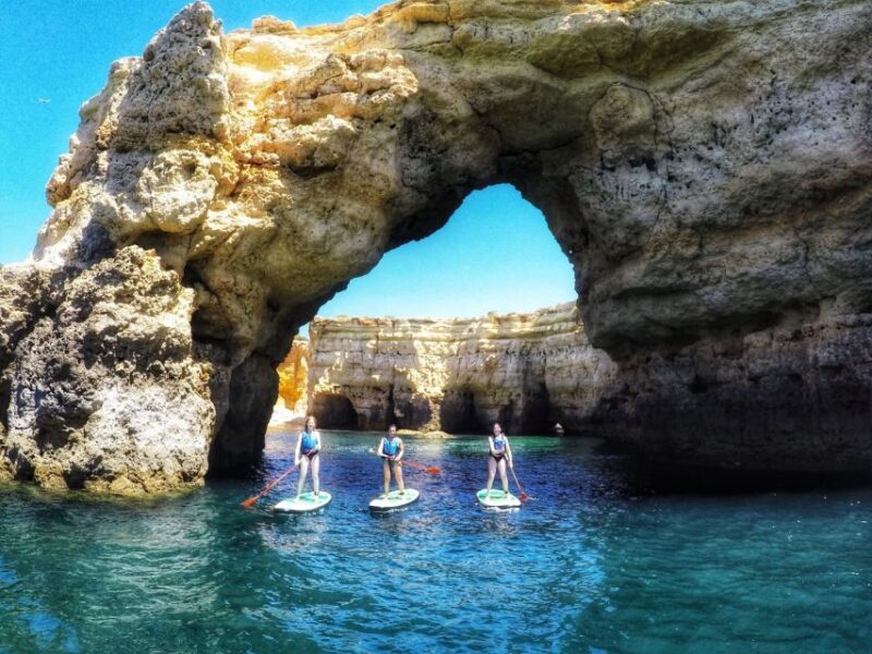 Safari & Kayaking - Experience the Algarve from Land and Sea with Zebra Safari Tours