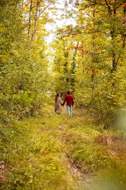 Safari Verde: nature, wildlife, and lunch in the woods - Key Points