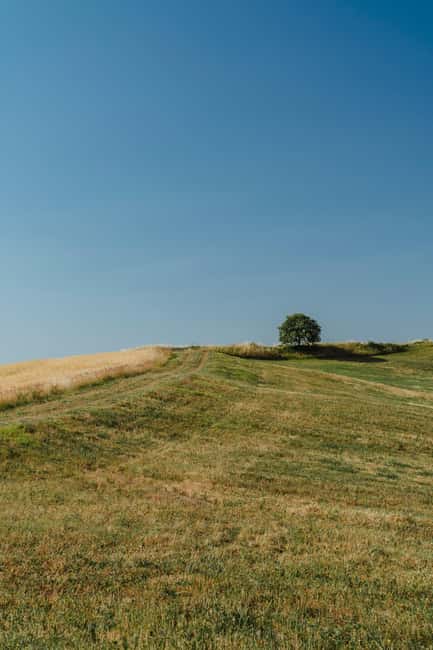 Safari Verde: nature, wildlife, and lunch in the woods - What to Bring and Access Restrictions