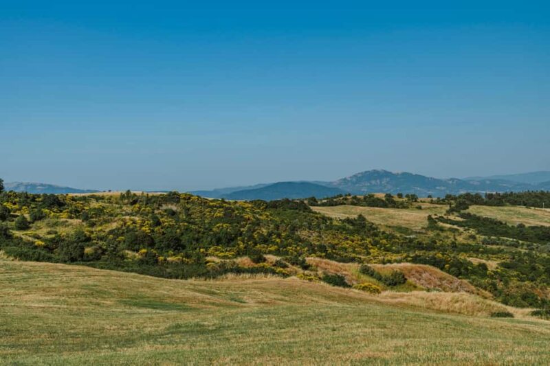 Safari Verde: nature, wildlife, and lunch in the woods - The Logistical Experience and Group Size