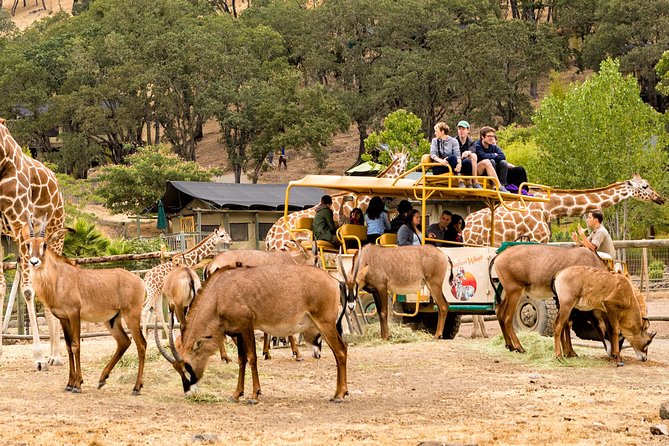 Safari West Sonoma Adventure Tour - Wildlife in Action: What You’ll See