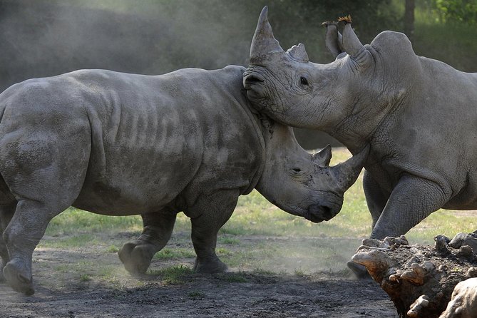 Safari West Sonoma Adventure Tour - Logistics and On-Site Amenities