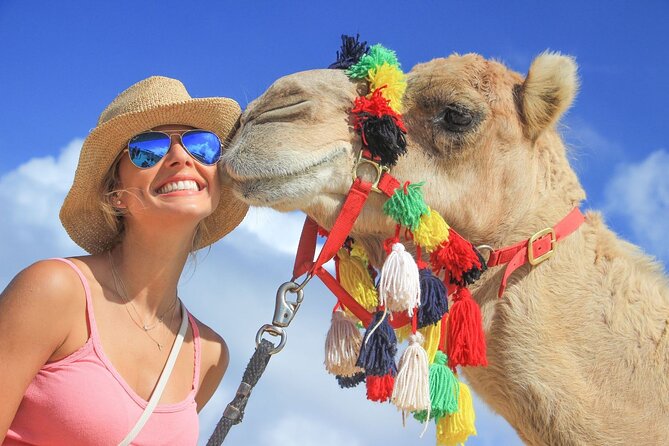 Safari with Camel Caravan to Explore Bajas Nature, Culture and Cuisine - Key Points