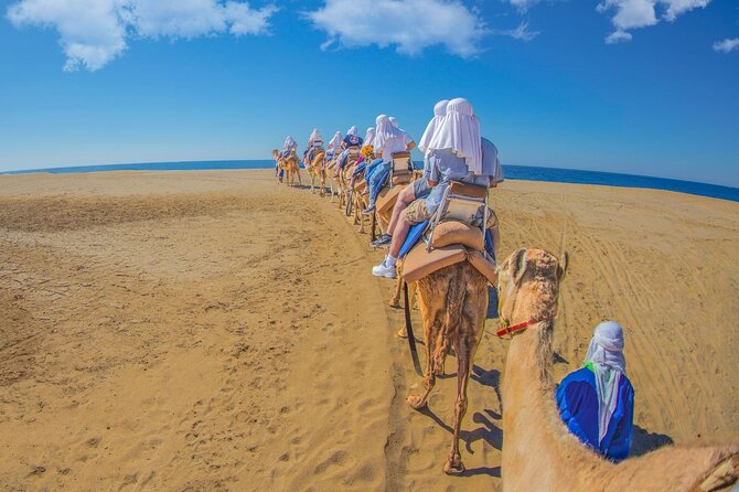 Safari with Camel Caravan to Explore Bajas Nature, Culture and Cuisine - Additional Costs and Tour Limitations