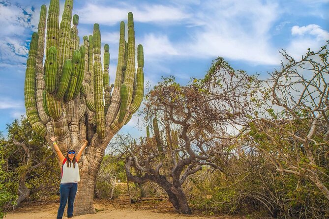 Safari with Camel Caravan to Explore Bajas Nature, Culture and Cuisine - Variability in Guest Experiences and Considerations