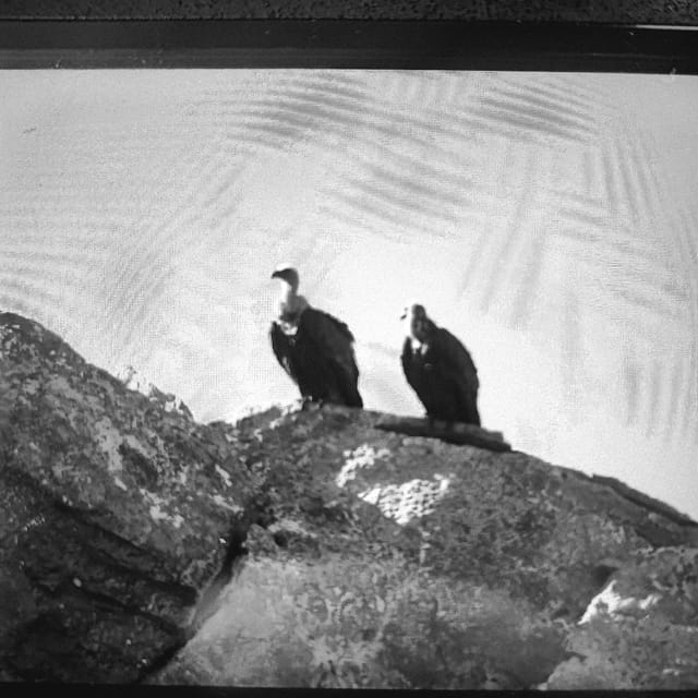 Safari:Lasithi plateau, Mythology park,olive oil tasting - Off-Road Adventure and Zeus Cave