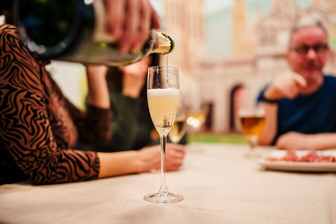 Sagrada Familia Jamón Iberico Masterclass with Wine Tasting - The Ham Samples: Varieties and Qualities