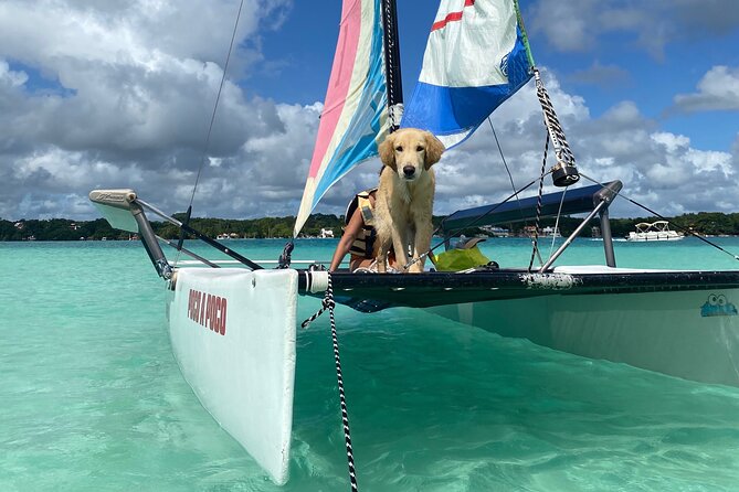 Sail away! Hobie Cat Tour Bacalar - Starting Point at Marina Sun Lagoon Bacalar