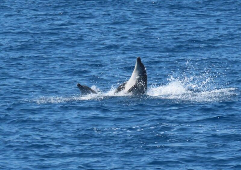 Sail Away in Kos: Unveil 3 Greek Isles Secrets! - Sail Away in Kos: Unveil 3 Greek Isles Secrets!