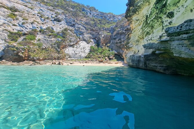 Sail Ibiza Formentera enjoy a swim in paradisiacal coves - Potential Drawbacks and Considerations