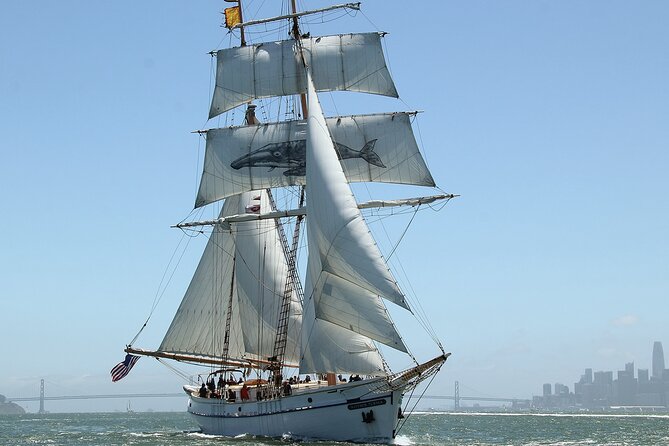 Sail San Francisco Bay on the Historic Brigantine Matthew Turner - Key Points