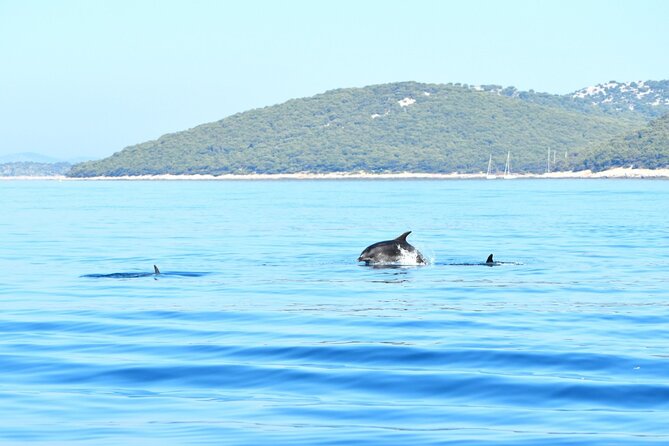 Sail & Swim 4 Hour Afternoon Tour - Starting Point and Departure Details in Zadar