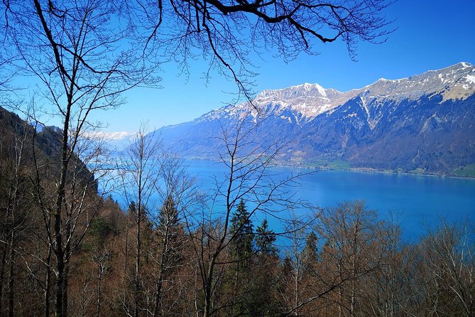 Sail to Basel and then explore either Bern, Luzern, Zurich or the Swiss Alps. - Discovering Lucerne’s Historic Charm