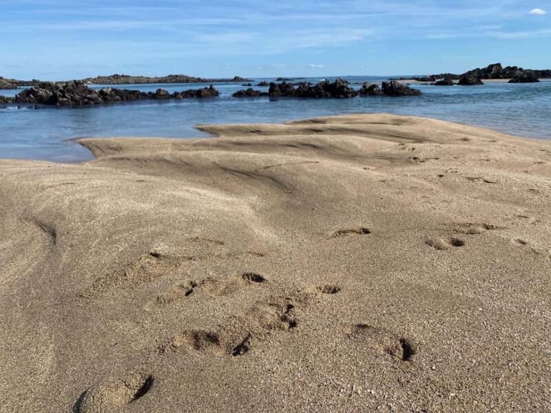 Sail to the heart of the bay. - Experience the Unique Marine Adventure in Brittany