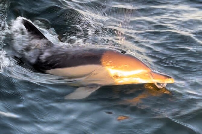 Sailboat Excursion along the Magnificent Tagus River - Departing from the Alcântara Dock in Lisbon