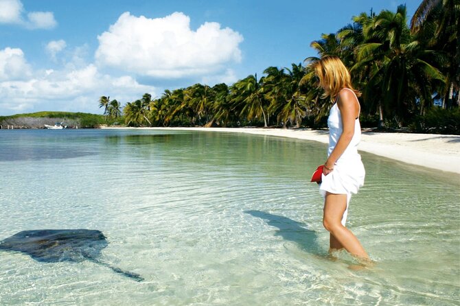 Sailing Adventure! Contoy & Isla Mujeres from Playa Del Carmen - Practicalities: Booking, Costs, and What to Bring