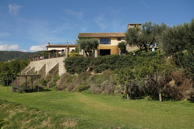 Sailing and Wine Tasting Experience Small Group in Barcelona - Scenic Beach Passes En Route to Alella