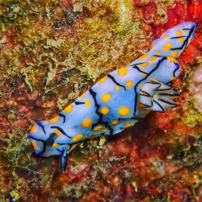 Sailing Boat Trip at the Makarska Riveria - Key Points