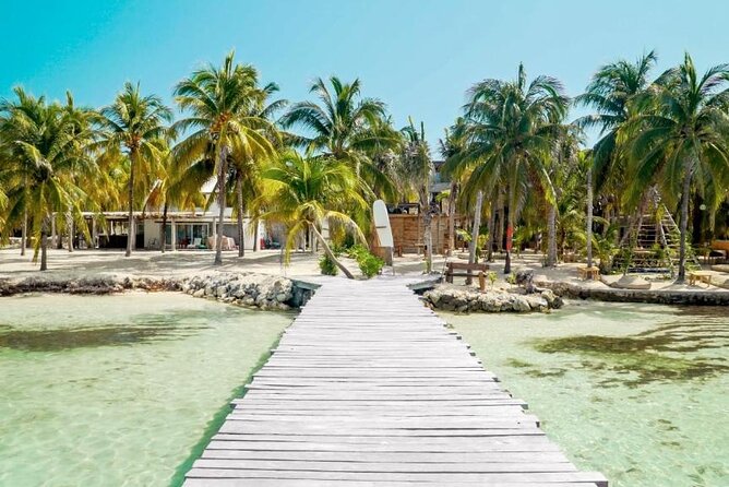 Sailing Catamaran Party to Isla Mujeres from Cancun - Snorkeling at Punta Sam Reef: Discovering Marine Life