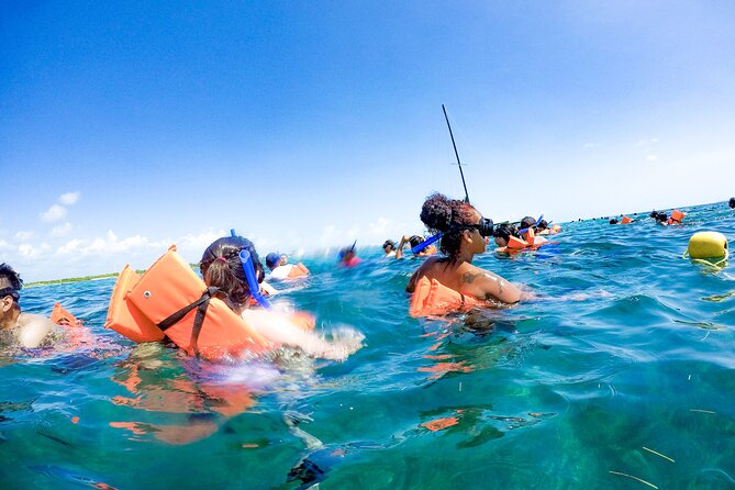 Sailing Catamaran to Isla Mujeres! Snorkel, Buffet & Open Bar - The Cost Breakdown and Additional Fees