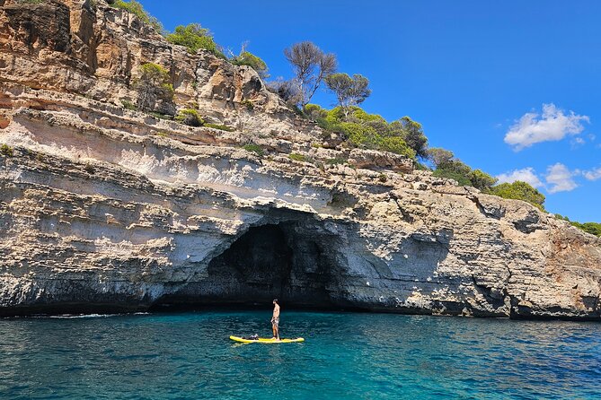 Sailing Day from Port d'Andratx - Relax and Snack During a Locally Sourced Picnic