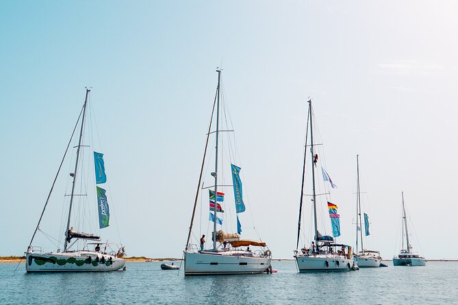 Sailing Experience in Lisbon - Portugal - How the Tour Balances Sightseeing, Water Fun, and Relaxation