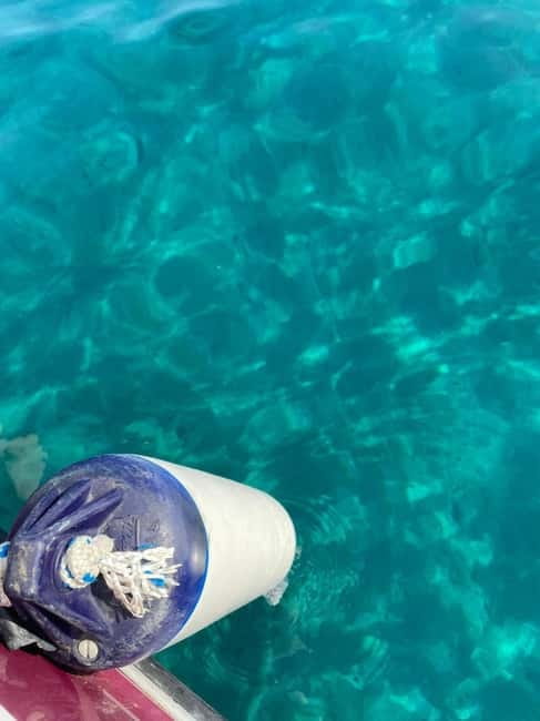 Sailing the Cilento coast: adventure, and serenity - Scenic Views of San Francesco Rock and Trentova Rock