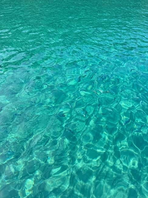 Sailing the Cilento coast: adventure, and serenity - Practicalities: What to Bring and Weather Considerations